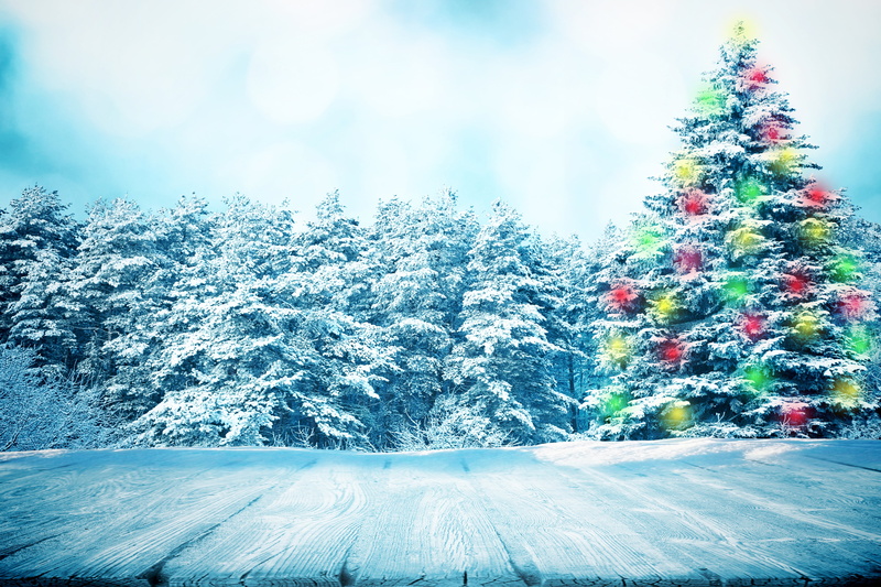 decoration, cold - Temperature, christmas, cold temperature, pine, snow, pine Tree, snowflake, backgrounds, fir Tree, bright, no People, covering, christmas Decoration