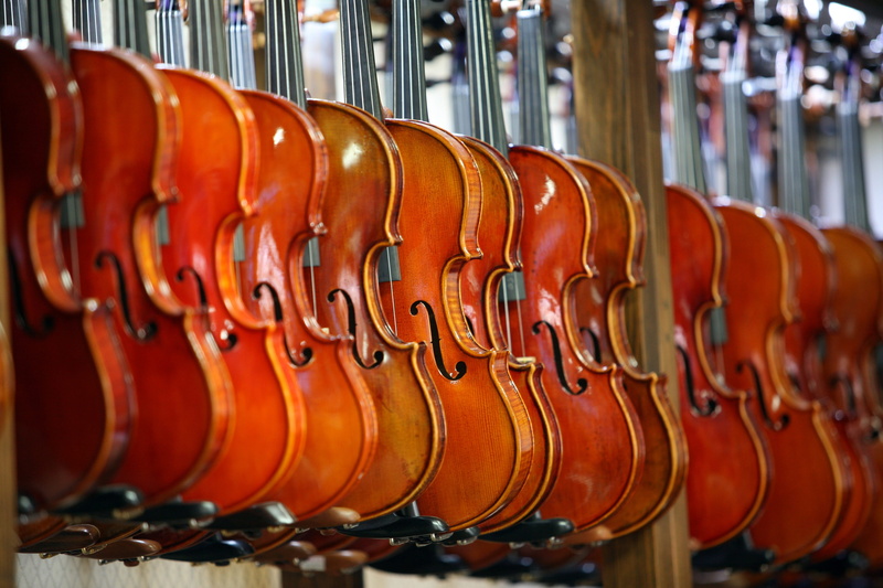 Instrument, musicians, order, played, photography, focus, string instrument, string, wood - material, 4K, classic, focus on foreground, brown, in a row