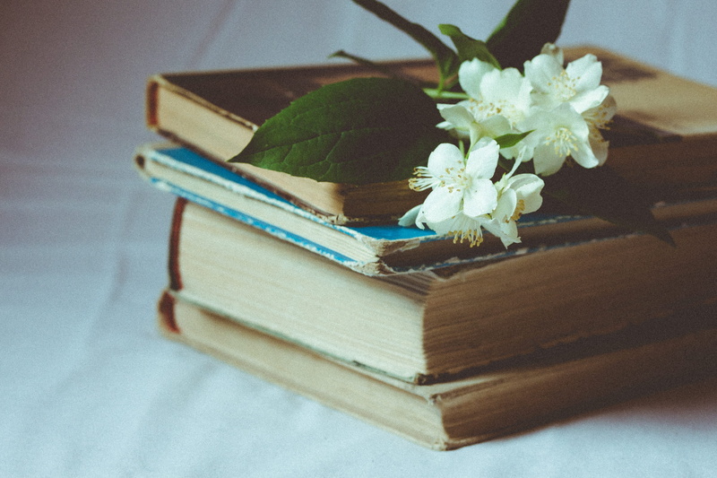 brown, wisdom, flower, selective, beauty in nature, hardbound, no people, bible, flowers, page, flowering plant, education, book, hardbound book, focus on foreground