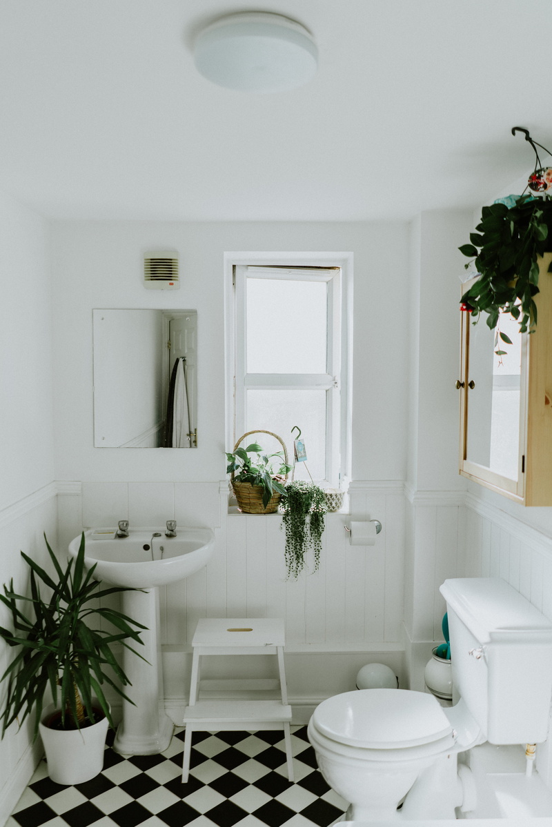 home interior, sink, home, white color, ceramic, domestic room, 5K, flooring, plant, nature, flower, seat, home showcase interior, furniture, no people