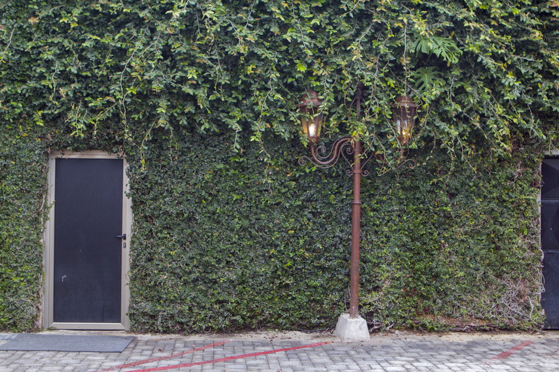 metal, brown, footpath, closed, beside, lighting equipment, lighting, day, light, built structure, plant, outdoors, wall, building exterior, ivy, entrance