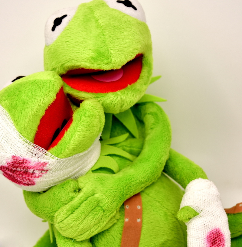 animal representation, toy, stuffed animal, blood, holiday, 2K, art and craft, studio shot, green, no people, stuffed toy, creativity, patch, green color