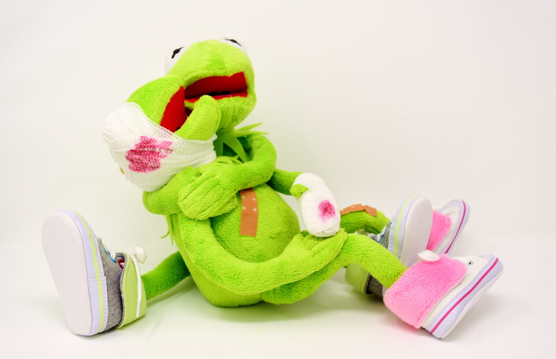stuffed toy, comfort, green, fun, stuffed animal, green color, multi colored, still life, holiday, pink color, studio shot, frogs, indoors, protective workwear