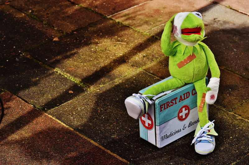 figure, communication, sit, animal, high angle view, frog, blood, text, stuffed animal, representation, sunlight, sitting, day, street, funny, no people