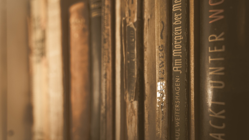 library, abundance, book collection, education, still life, knowledge, indoors, publication, antique, full frame, worn, shelf, read, books back, large group of objects