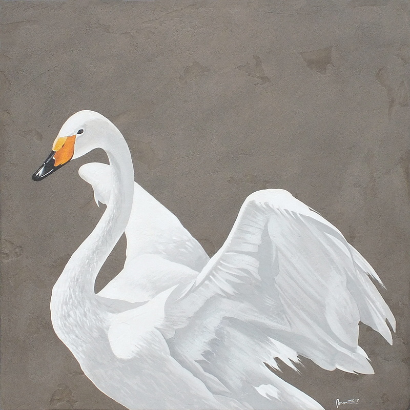 animal neck, anatidi, beak, birds, vertebrate, animal wildlife, nature, day, no people, laguna, white, animal, swan, one animal, volatile, white color