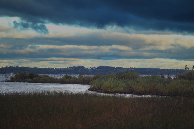 horizon, non-urban scene, landscape, united states, day, sky, tranquil scene, environment, trees, outdoors, clouds, fall, traverse city, 4K, shoreline