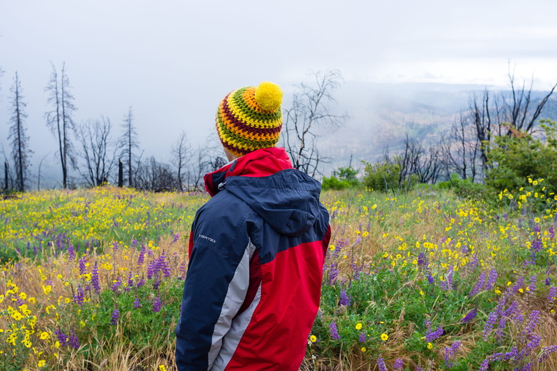 northern california, fog, california, yosemite national park, sierra nevada, knit hat, forest, man, waist up, knit, warm clothing, leisure activity, wild flowers
