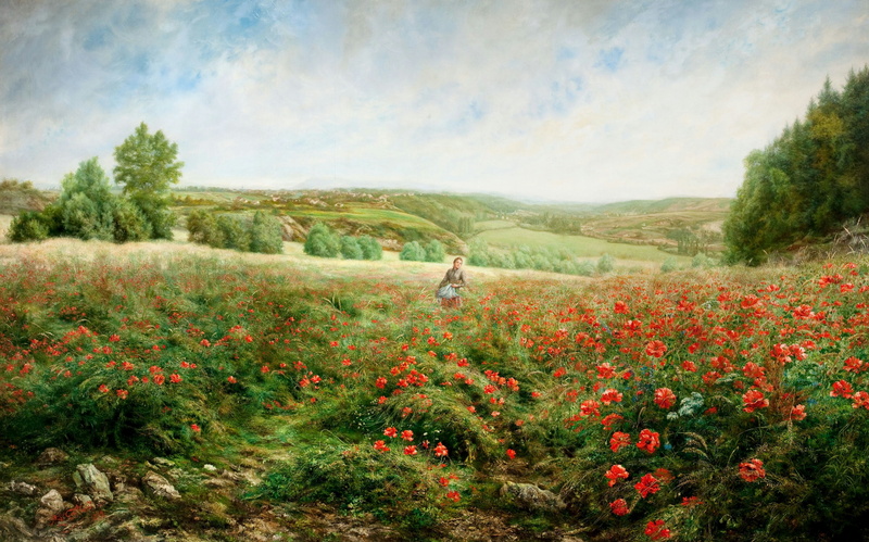 flower, trees, 2K, forest, springtime, Maki, grass, flowers, scenics - nature, italy, landscape, girl, flowering plant, agriculture, garden, hill, rural Scene