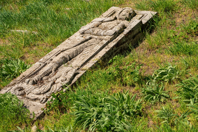 nature, sepulchre, day, growth, 5K, outdoors, ornament, tombstone, plant, tree, burial ground, no people, graves, tranquility, faith, cemetery, green color