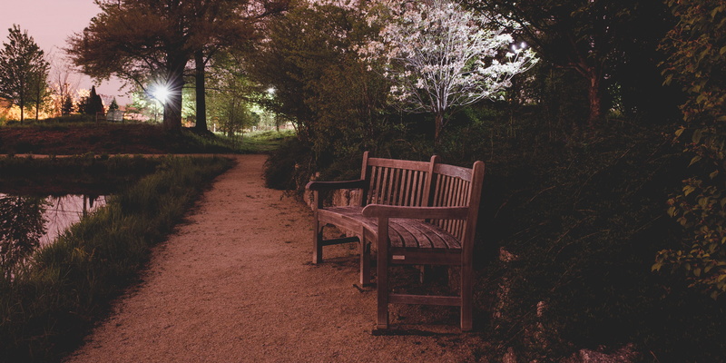 4K, darkness, tranquility, hamilton township, chair, night sky, night, tree trunk, beauty in nature, table, path, absence, park, empty, outdoors, park - man made space