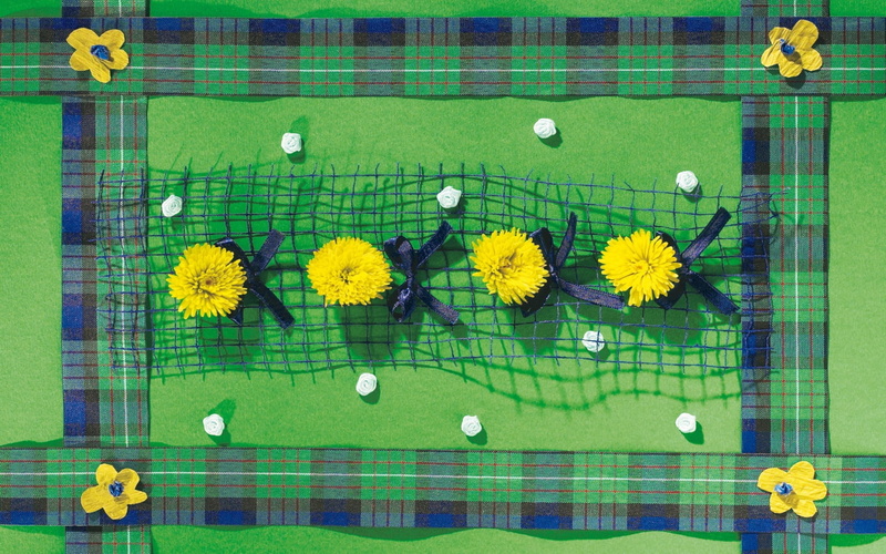 nature, bows, animal representation, day, sport, inflorescence, plant, floral pattern, directly above, representation, 720P, song, dandelions, flower head