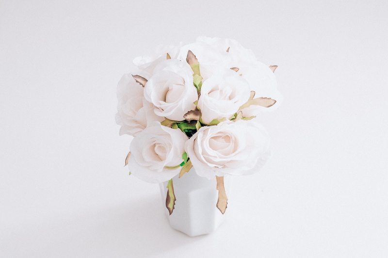 photo, beauty in nature, colors, petals, white background, vulnerability, studio shot, event, no people, blooming, plant, 4K, rose, faux, flowers, blossom