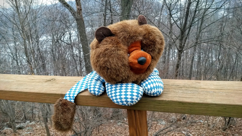 cute, stuffed toy, wood, head, 2K, animal representation, teddy bear, vertebrate, stuffed doll, tree, winter, fur, faux fur, one animal, funny, lion, day