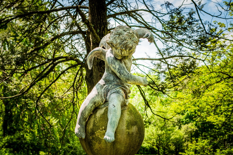 no people, tree, cupid, forest, human representation, nature, representation, park, new jersey botanical garden, art and craft, green color, outdoors, growth