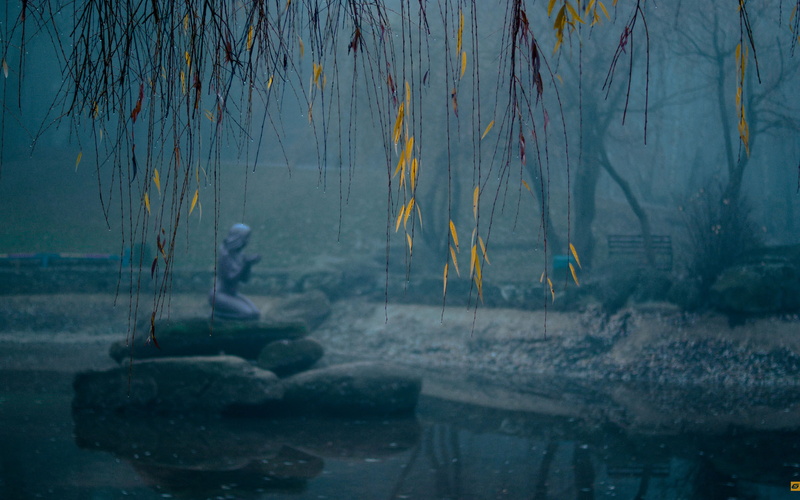 reflection, pond, park, sculpture, wet, statue, 1080P, hd, leaves, nature, drops, water