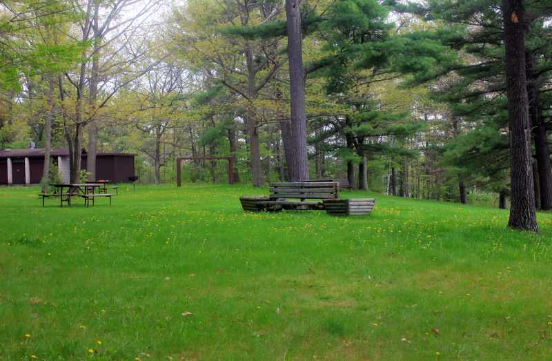day, outdoors, nature, tranquility, tranquil Scene, tree, empty, Council Grounds State Park, forest, growth, state, Wisconsin, beauty in nature, absence