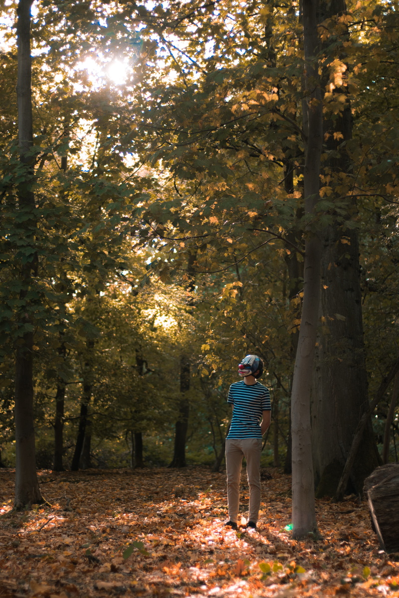 lifestyles, nature, outdoors, day, full length, grove, person, walking, 5K, gravel, dirt road, leisure activity, belgium, casual clothing, autumn, people
