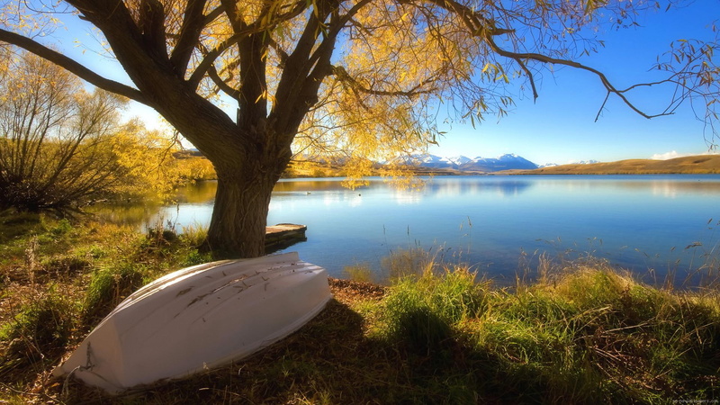 tree, water, boat, white, landscape, brow, yellow, 1080P, lake