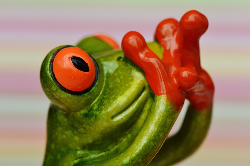 focus on foreground, photography, funny, figurine, food and drink, animal representation, frogs, fear, focus, figure, wellbeing, fun, do not speak, green color