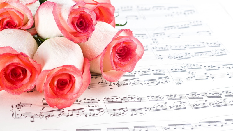paper, beauty in nature, text, flower head, positive emotion, 1080P, indoors, romance, red, flowering plant, rose - Flower, flower, plant, pink, roses