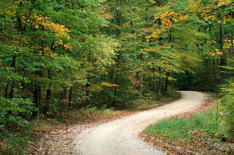 3d and abstract, road, photo, outdoors, 1080P, woods, trees
