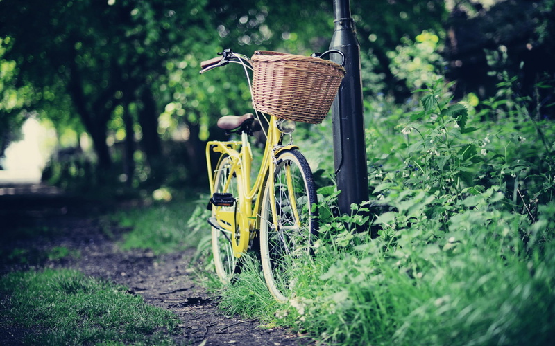 green, 2K, grass, road, ride, bike, 3d and abstract, basket