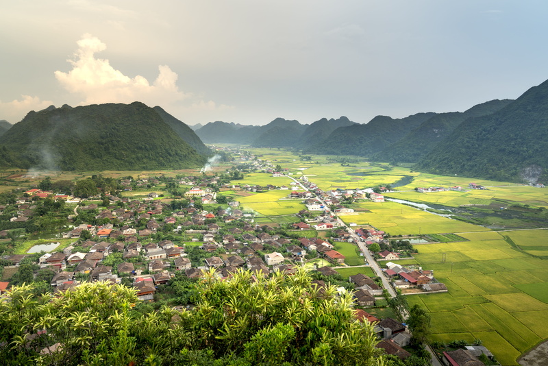 tranquility, curve, land, environment, vietnam, the valley, growth, planting, asia, the countryside, mountain, silk, tranquil scene, non-urban scene, tree