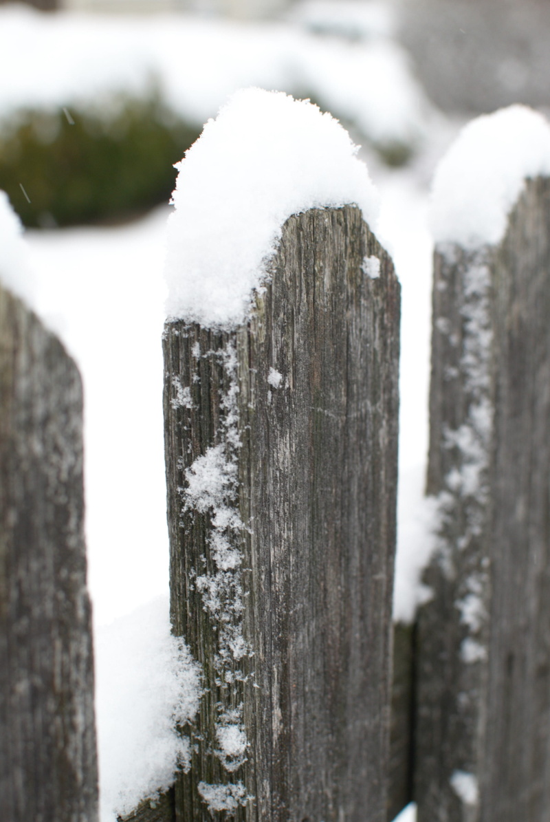no people, outdoors, nature, extreme weather, ice, perfect, winter, day, barrier, fence, frozen, cold temperature, cold, wood, boundary, focus on foreground