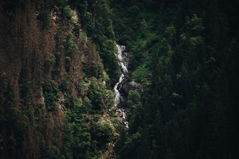 motion, land, tress, action, foliage, flowing water, 4K, plant, outdoors, lush foliage, waterfall, rainforest, forest, water, non-urban scene, nature
