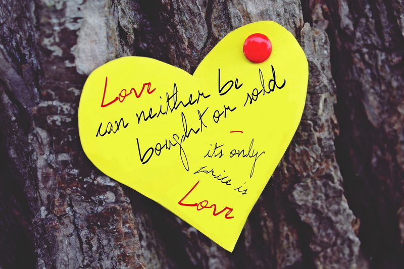 trunk, close-up, red, valentines day - holiday, feelings, symbol, quote, saying, heart shape, plant, western script, decoration, emotion, luck, english