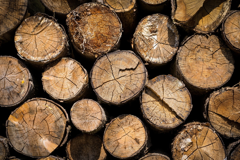 wood - material, no people, pattern, stack, large group of objects, woodpile, environmental issues, structure, pile of wood, stacked up, holzstapel, background