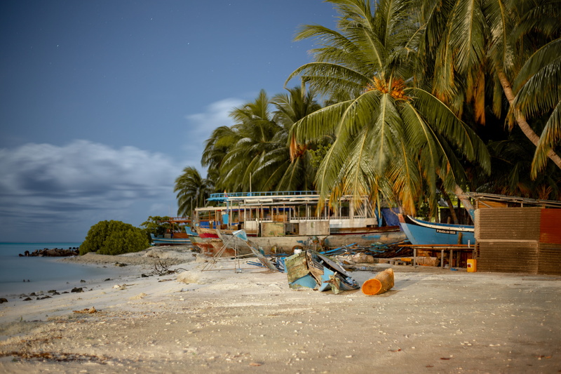 sky, boat, transportation, domestic animals, seashore, animal, rowboat, green, ocean, building, tropical climate, day, plant, coast, tropical, shoreline