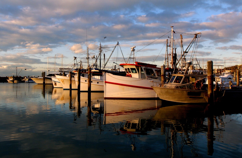 fishing industry, stephens, mode of transportation, marina, reflection, cloud - sky, harbor, nautical vessel, ocean, nature, nautical, fishing, twilight