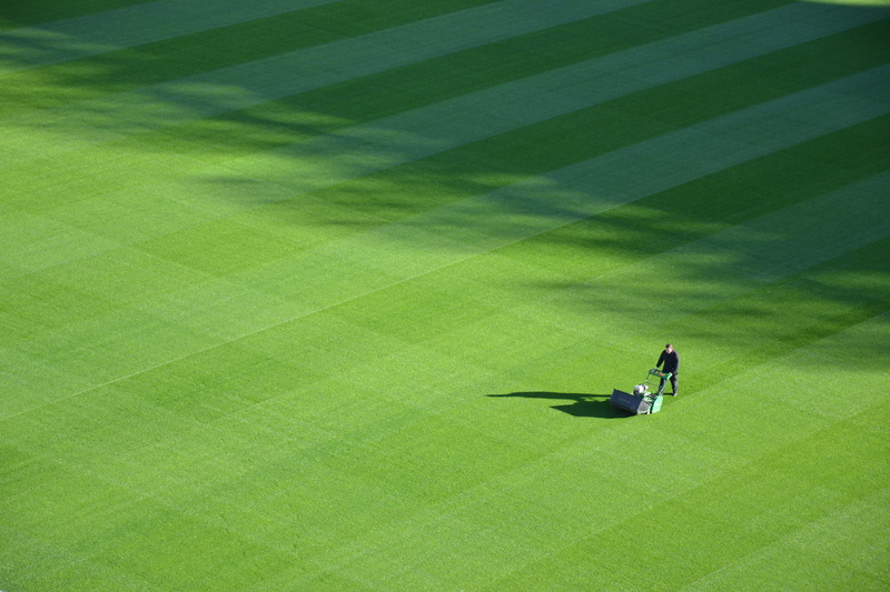 lawn, dublin, outside, person, green - golf course, adult, activity, grass, fotball, green, people backgrounds, photography, golf course, nature