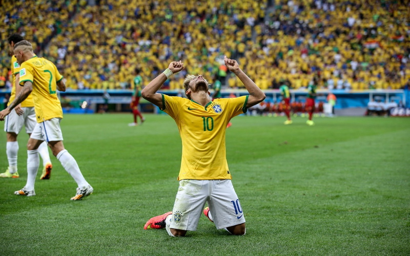 human limb, soccer player, Fifa, team sport, sport, limb, Brazil, stadium, group of people, grass, incidental people, sports equipment, positive emotion