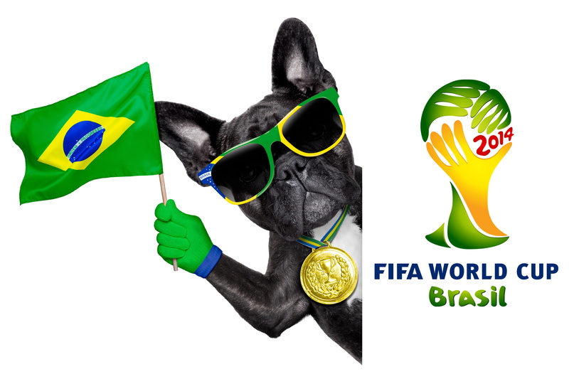dog, FIFA, cool, football, World Cup, logo, flag, Brasil, funny, 2014, 5K