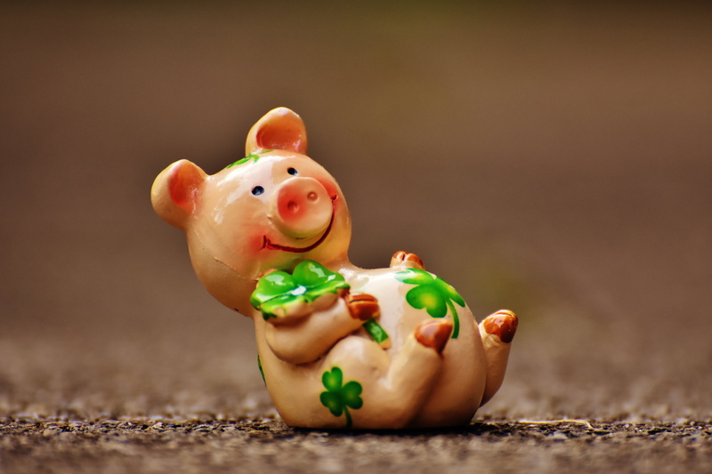 coin Bank, 5K, fruit, close-up, luck, vegetarian food, new years day, lucky pig, studio shot, selective focus, figurine, brown, freshness, cute, piglet