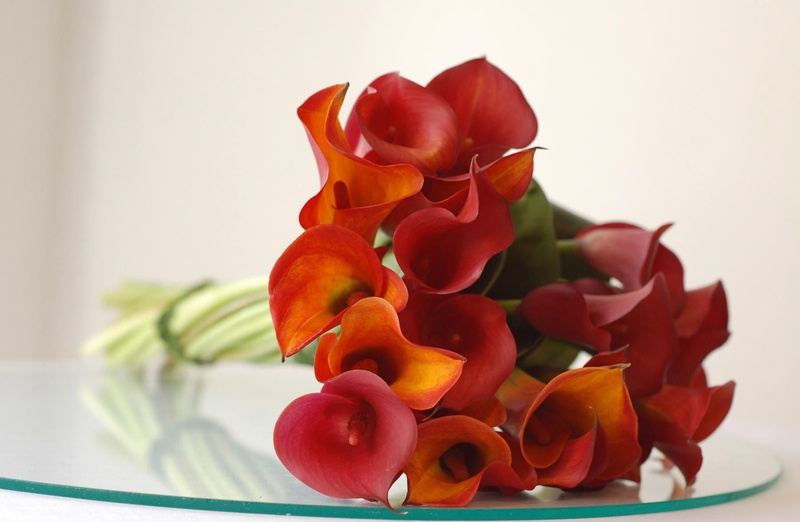 no people, food, plant, calla, beauty in nature, leaf, glass, freshness, nature, focus on foreground, flower, vegetable, love, fruit, yellow, lily, multi Colored
