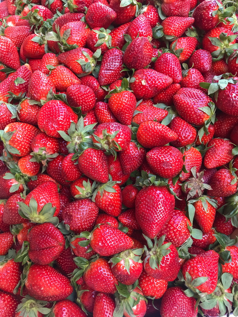 season, tangier, travel, full frame, close-up, wellbeing, pineapple, strawberries, berry fruit, strawberry, retail, order, high angle view, for sale, produce