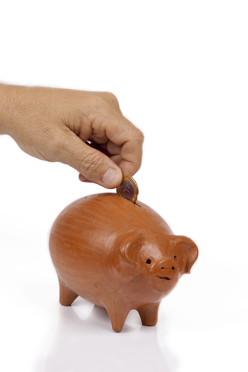 finger, real, income, white background, Vault, donation, copy space, brazilian currency, piggy bank, holding, body part, Hand, currency, savings, human hand