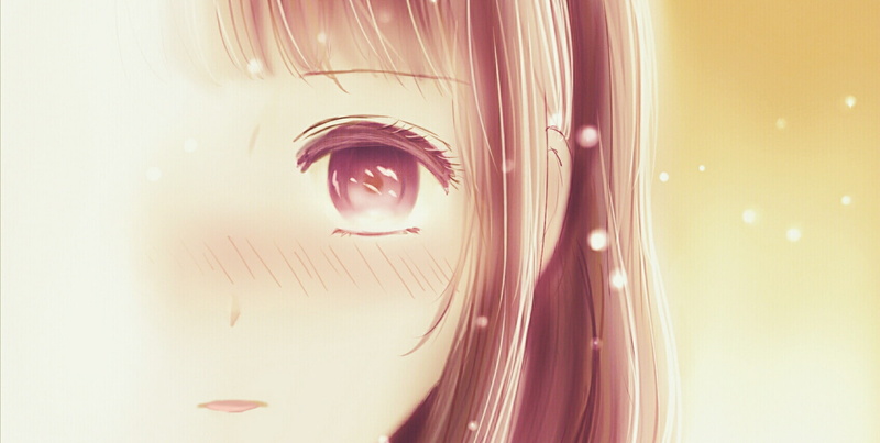 1080P, Kuzu no Honkai, Anime