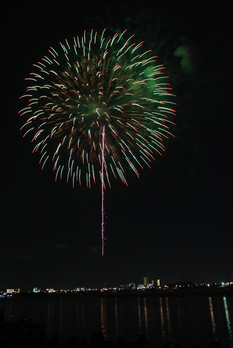 night, celebration, explosive, firework, matsuri, arts culture and entertainment, flowers, nature, fireworks, blurred motion, firework display, architecture