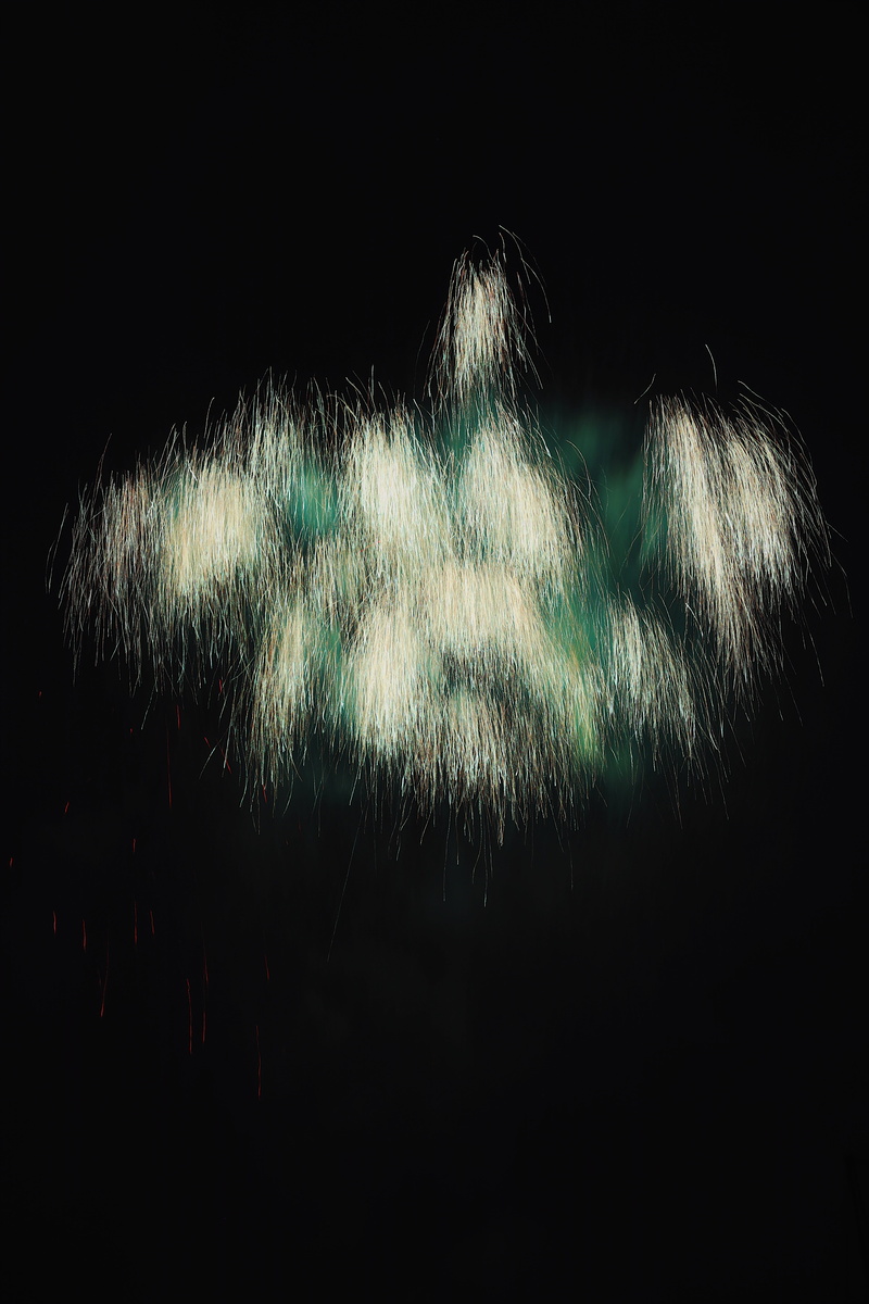 black background, land, flare, sea, growth, low angle view, phantom, fur, tokyo, firework display, night life, no people, ocean, light, illuminated, green