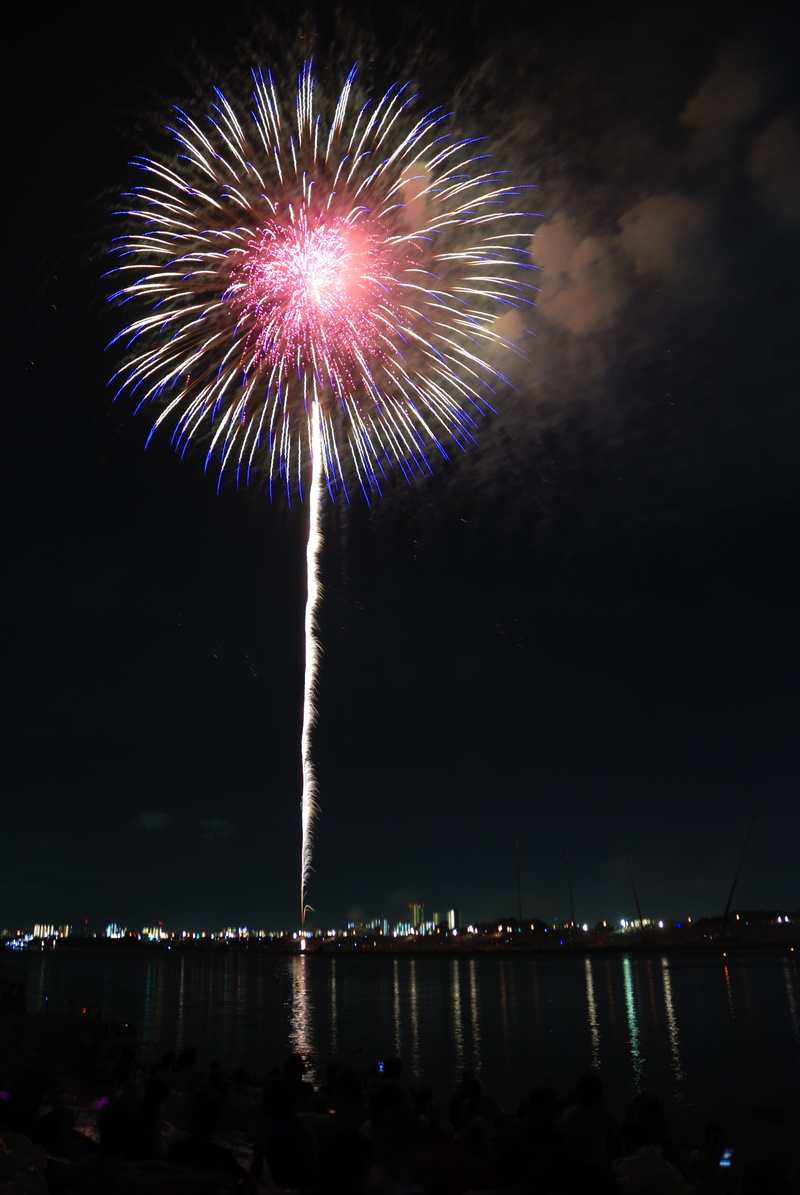 nature, 4K, hanabi, firework display, glowing, Colorful, outdoors, long exposure, night, red, festival, motion, light, Flower, exploding, firework - man made object