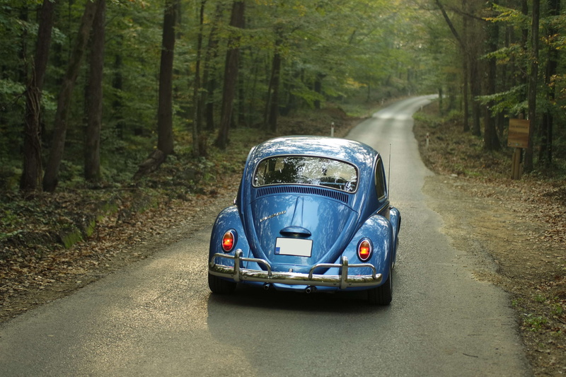 nature, trees, land, trunk, woodland, day, vehicle, road trip, volkswagen, forest, tree, 4K, travel, outdoors, mode of transportation, transportation