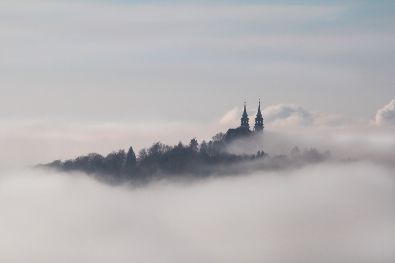 tranquility, Linz, tree, no people, tall - high, scenics - nature, copy space, nature, beauty in nature, day, fog, landscape, austria, built structure