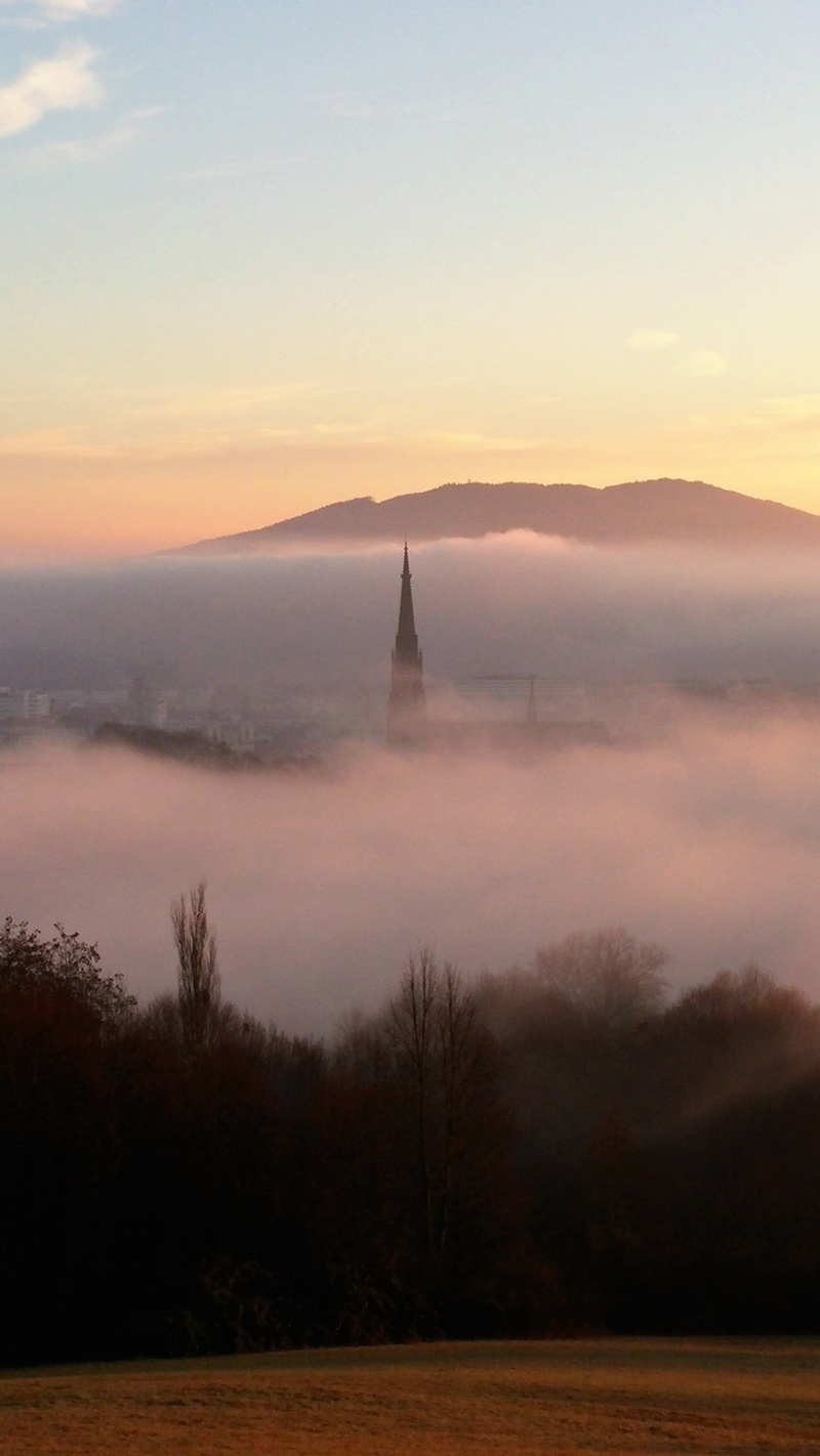 scenics - nature, sunset, sky, landscape, mariendom, water, idyllic, sea, beauty in nature, plant, fog, church, morning, tranquility, linz, travel, light