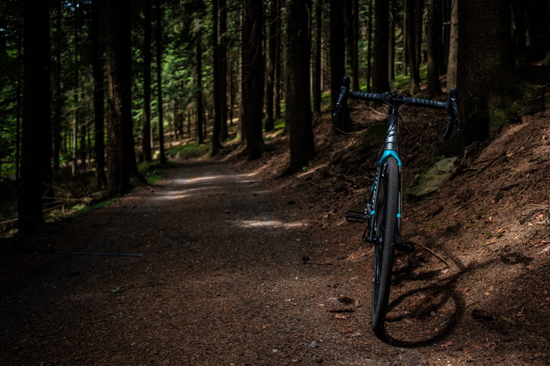 trunk, bike, dirt, tree, growth, remote, davidhellmann, niner, nature, transportation, tree trunk, day, tranquility, bamboo - plant, cx, outdoors, plant