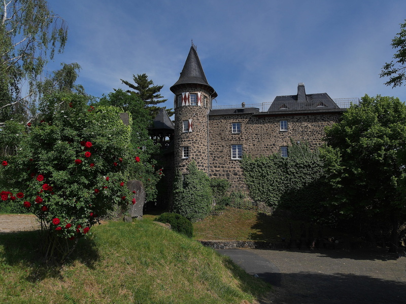 remagen, built structure, grass, linz, architecture, green color, 2K, building exterior, the past, flowering plant, siebengebirge, sunlight, ockenfels